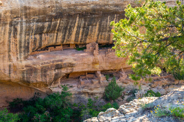 Cliff Dwelling Ruins in Mesa Verde NP, Colorado