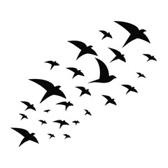 Obraz premium Open Wing Bird Taking Off from Surface