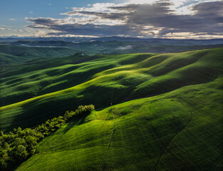 Aerial view of rolling green hills bask in the soft glow of sunlight, highlighting the textures and contours of Crete Senesi's landscape, Crete Senesi, Crete Senesi, Italy.