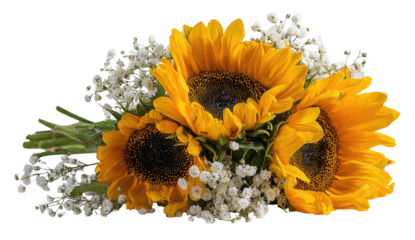Close-up of three bright yellow sunflowers surrounded by delicate white baby's breath