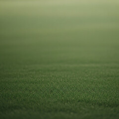 Calm Nature Harmony Background with Foggy Morning Landscape, Fresh Green Grass and Warm Sunrise Light