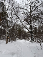 Winter urban landscape, Siberia, Novosibirsk, January 2026.