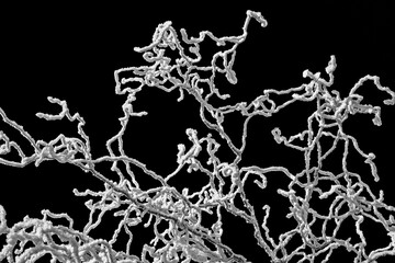 an abstract, high-contrast photograph of branches covered in frost, very similar to the structure of a neuron cell found in the retina, which plays a role in motion perception