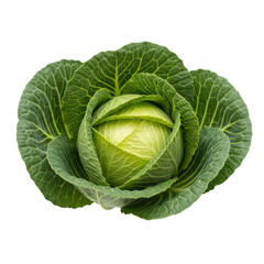 Obraz premium Fresh cabbage isolated on transparent background
