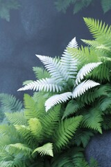 wall of ferns against gray background