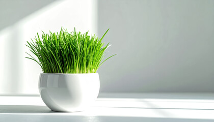 Close-up of healthy cat grass, featuring vibrant green blades with a crisp texture.