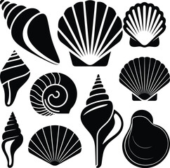 Sea shell silhouettes collection, marine seashell icons set, black vector illustration of ocean beach elements isolated on white background design © Sreemotijaynotyrani 