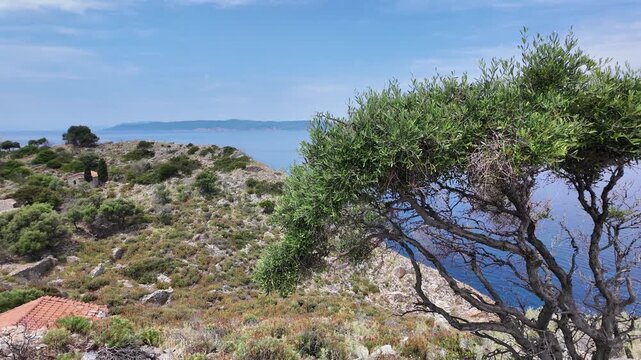 Panorama of Coastline of Skiathos Iskand around ruins of Byzantine Castle, Sporades, Thessaly, Greece