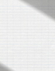 Clean simple graph paper, checked paper, gridded paper background. Vector. Notebook, sheet paper, seamless, page, cloth, chart, school book, paper. graphic, design background.