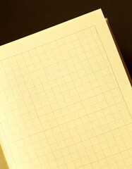 Clean simple graph paper, checked paper, gridded paper background. Vector. Notebook, sheet paper, seamless, page, cloth, chart, school book, paper. graphic, design background.