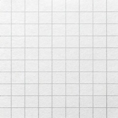 Clean simple graph paper, checked paper, gridded paper background. Vector. Notebook, sheet paper, seamless, page, cloth, chart, school book, paper. graphic, design background.