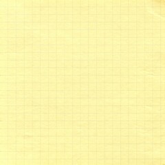 Clean simple graph paper, checked paper, gridded paper background. Vector. Notebook, sheet paper, seamless, page, cloth, chart, school book, paper. graphic, design background.