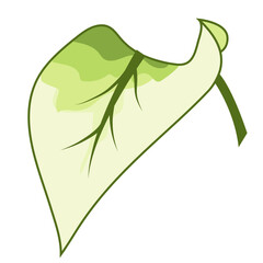 A vector illustration of a leaf with soft green hues and stylish gradient transitions.