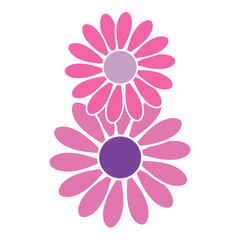 Two colorful flowers forming number eight shape
