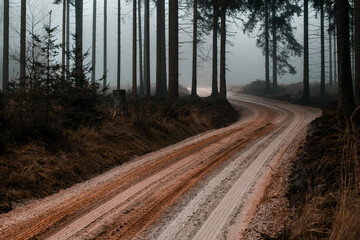 Herbstlicher Landweg durch den Wald im Nebel