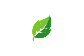Fototapeta premium Minimal green leaf icon, eco nature symbol illustration, clean botanical logo graphic for sustainability branding isolated on Transparent Background