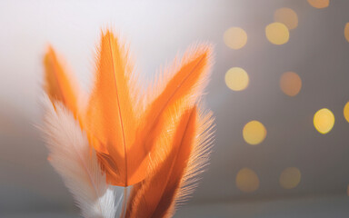 Fotograf&iacute;a retro/vintage con textura de pel&iacute;cula, tonos c&aacute;lidos y grano visible