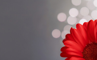 Fotograf&iacute;a retro/vintage con textura de pel&iacute;cula, tonos c&aacute;lidos y grano visible