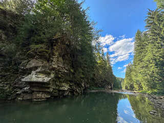 Serene River Flowing Through Lush Forest Copy Space