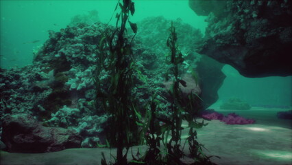 Beneath the waves, colorful coral formations create a stunning underwater landscape. Seaweed sways...