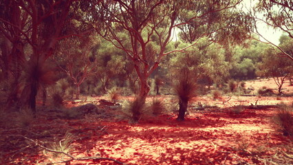 A stunning desert scene with red earth and lush green trees under a bright blue sky. Shrubs and...