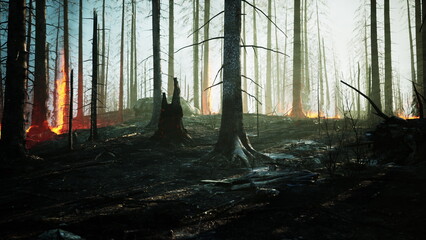 Obraz premium Flames engulf parts of a dense forest, smoke billowing into a bright sky. Blackened trees stand amid glowing embers, highlighting the devastation of the fire during the day.