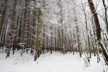 trekking in snovy winter forest