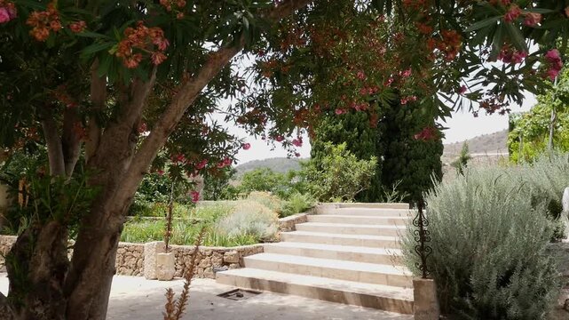 Stone staircase surrounded by Mediterranean vegetation, oleander flowers and cypress trees in the historic Nasrid Garden of V&eacute;lez de Benaudalla, Granada.