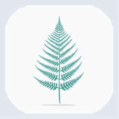 Isolated vector illustration of a green fern leaf on a white background