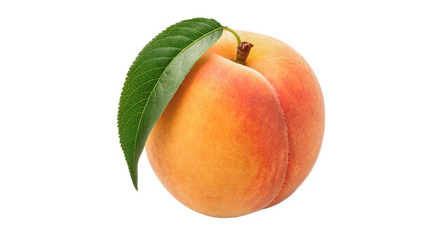 A round peach has a green leaf attached to its side isolated on transparent background cut out