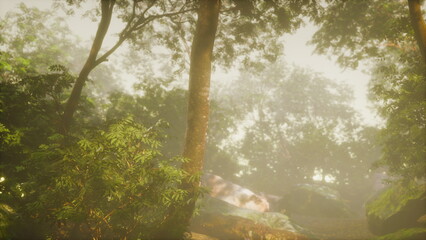 In a serene forest, mist envelops towering trees, while soft light breaks through the dense canopy. Vivid green foliage adds to the tranquil atmosphere of natures beauty and mystery.