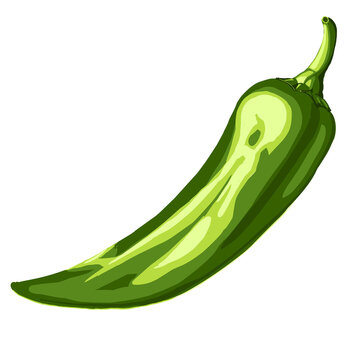 Spicy Green Jalapeno Pepper Illustration