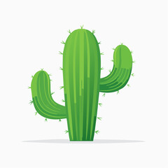 Green cactus illustration isolated on white background for design elements