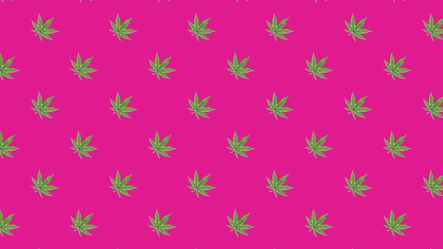 Seamless looping animation of green cannabis leaves on a vibrant pink background. A modern 2D vector pattern moving diagonally, perfect for cannabis culture and lifestyle branding content.