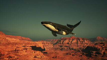 A humpback whale swims gracefully above stunning red rock formations, creating a surreal contrast against the clear evening sky. The scene merges oceanic beauty with desert terrain. © icetray