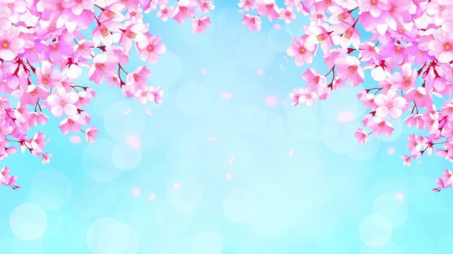 桜　ループ動画　桜吹雪　舞う　散る　美しい　爽やか　枠　お花見　入学　卒業　ひな祭り　新生活　Watercolor cherry blossoms.Falling petals.Spring scenery.Loop video.