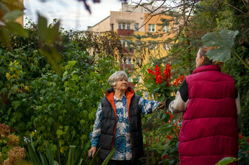 Starsza Pani seniorka wręcza córce bukiet kwiatów z własnego ogrodu w podziękowaniu za pomoc w pracach ogrodowych. © Monika
