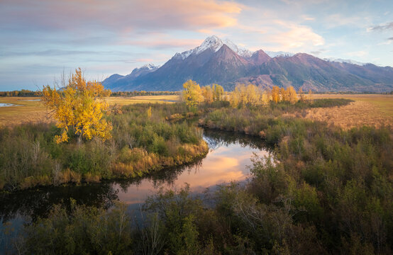 Aerial view of a winding river reflects the soft sunrise hues, while golden trees contrast with the rugged, snow-capped mountains in the distance, Butte, Alaska, United States. - Powered by Adobe