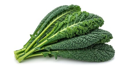 Fresh bunch of dark green kale