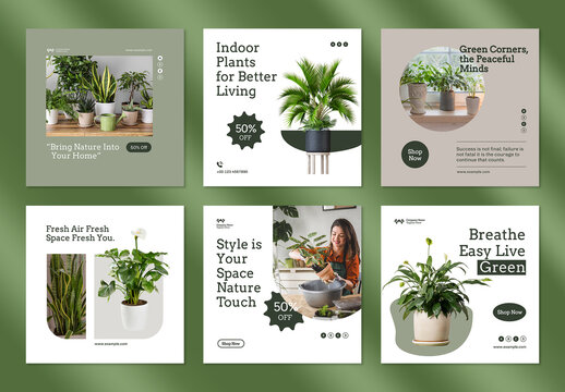 Simple House Plants Social Media Post Design