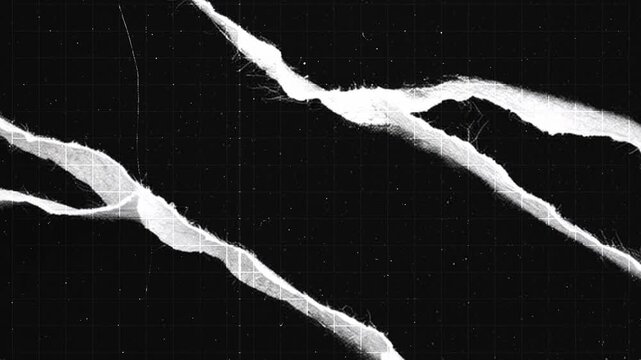 Animated torn paper grunge texture loop