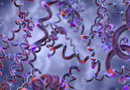 Spiral-shaped spirochete bacteria, pathogenic microorganisms causing infections. syphilis or lyme disease. Corkscrew-shaped Treponema pallidum, Borrelia, sexually transmitted, vector-borne infections