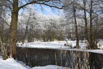 Łyna River during a frosty winter, Poland