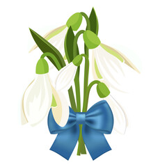 A bouquet of snowdrops with a blue bow without a background