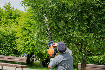 A gardener cuts trees in the park