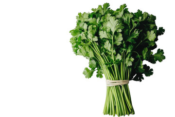 Fototapeta premium Minimal food presentation of fresh basil leaves on bright white surface isolated on transparent background