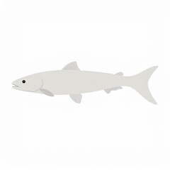 Fototapeta premium Silhouette of Atlantic Salmon Fish Leaping in Minimalist White Background