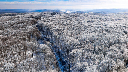 Aerial view of frost-covered forest road in Dobrovat Forest, Iasi County, Romania