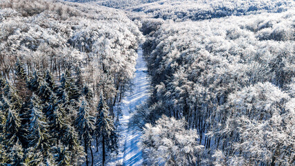 Aerial view of frost-covered forest road in Dobrovat Forest, Iasi County, Romania
