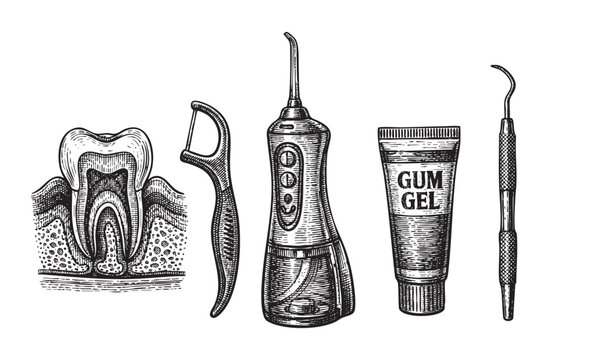 A detailed woodcut-style illustration displays dental hygiene tools including a dental floss pick, water flosser, gum gel tube, and scaler alongside a cross-section of a human tooth.